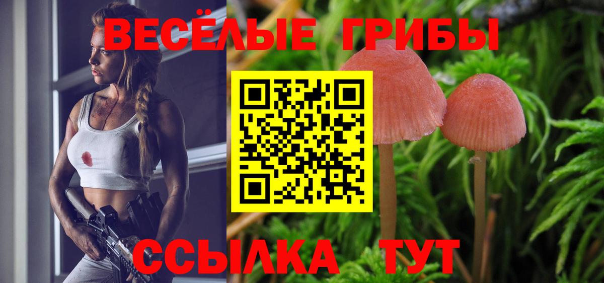 Псилоцибиновые грибы мухоморы Родники