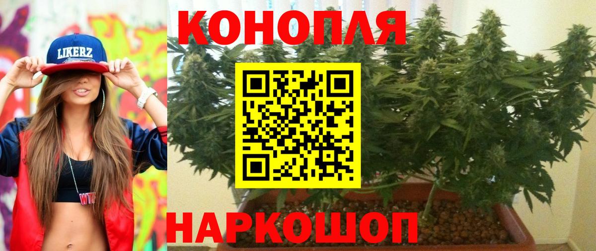МАРИХУАНА OG Kush  Вход с VPN  Марихуана конопля  Каннабис THC 21%  Родники 